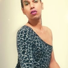 susytrans