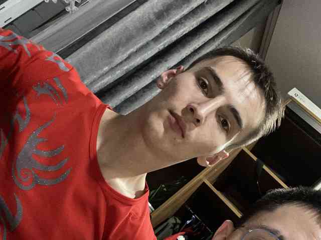 GAY228a