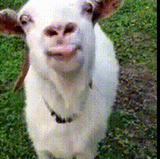 MrCuntyBalix
