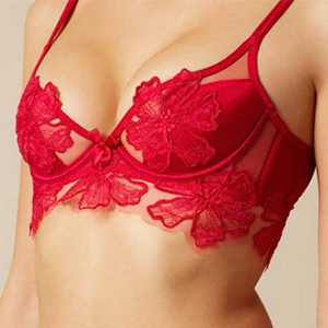 Agent Provocateur Seraphina Bra Red