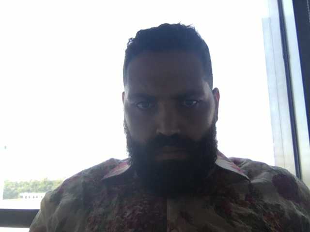 FabioBear