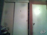 29kurtt님의 스냅샷 14개
