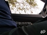 p1gorek님의 스냅샷 2개