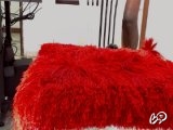 HugeDollBlack की तस्वीर 8