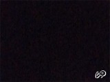 AandDfuck님의 스냅샷 6개