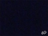 AandDfuck님의 스냅샷 3개