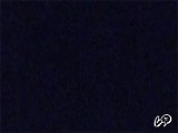 AandDfuck님의 스냅샷 2개