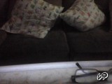cam2812님의 스냅샷 15개