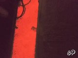 Anita69696 1 nuotrauka
