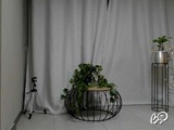 AnnieGarciaX'istantanea 5