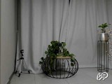 AnnieGarciaX'istantanea 4