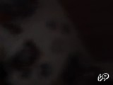 11 snimak modela EFIMEROX