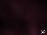 Macro-dick'nın anlık görüntü sayısı 2
