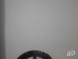 12 snimak modela acanthaeneida