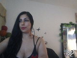 11 snimak modela Carolina-19