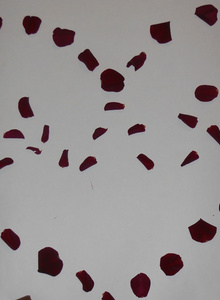 Buenosnoches My Photos photo 634182