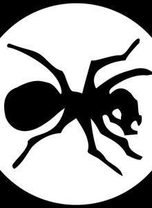 Somebody_else My Photos photo 4498245