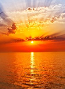 Taurus8 photo 1976324 thumbnail