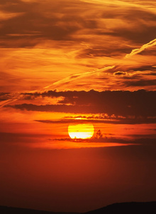 Taurus8 My Photos photo 3687256