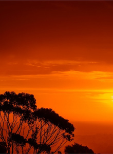 Taurus8 photo 3887130 thumbnail