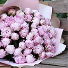 esscada wish list item 1 thumbnail