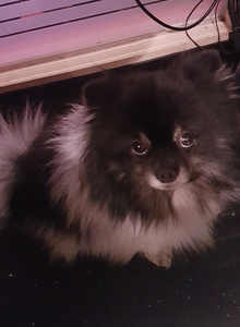 sexyman-5976 My Photos photo 2699200