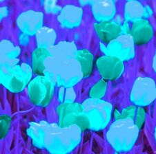 _______--_V_A_L_E_R_A_--_______