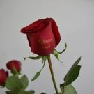 Хочу чтоб девушки смотрели!)