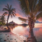 I want to travel and see the world