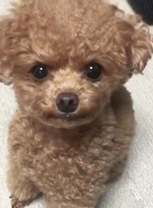 Lord_777 My Photos photo 4266442