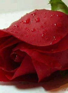 izakxxx My Photos photo 843539