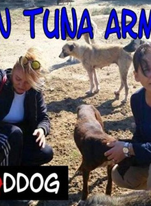 _tolip36_ My Photos photo 1216356