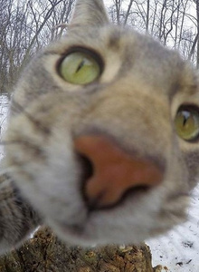 Slon37373 My Photos photo 4248423