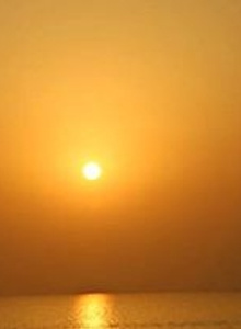 -Anima- My Photos photo 3684853