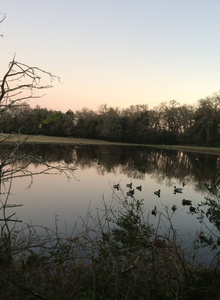 10BIGFINGERS photo 1321300 thumbnail