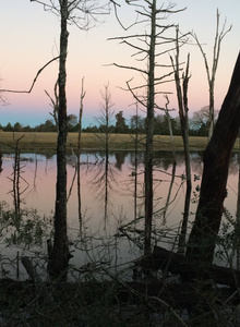 10BIGFINGERS photo 1321301 thumbnail