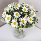 I love daisies