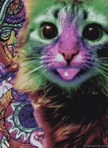 PigBennis My Photos photo 2016161