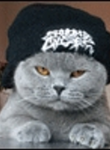 PigBennis My Photos photo 2016178