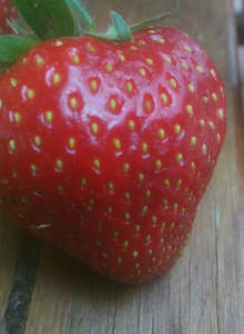 kissSanta photo 3359411 thumbnail