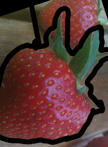 kissSanta photo 3362027 thumbnail