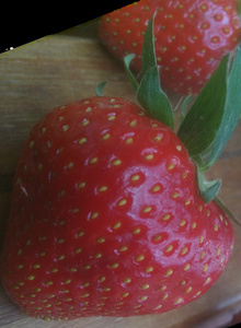 Fotografija #3362037