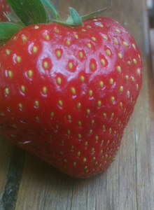 Fotografija #3362039