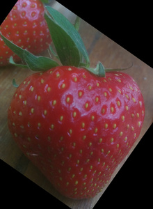 Fotografija #3362046