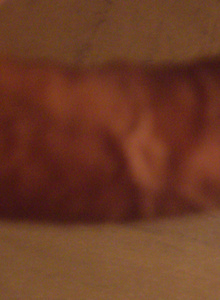 chicoguapo8 My Photos photo 2345510