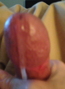 GQasaurusrex photo 2494526 thumbnail