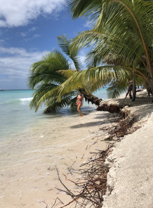 Theodoraa photo 5127657 thumbnail