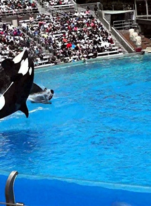 SeaWorld San Diego, California