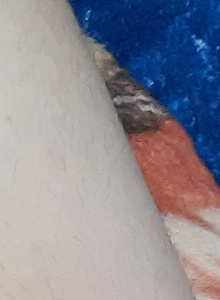 marius1283 My Photos photo 5017452