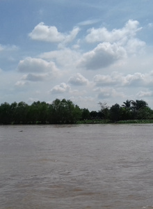 danceman photo 2381526 thumbnail